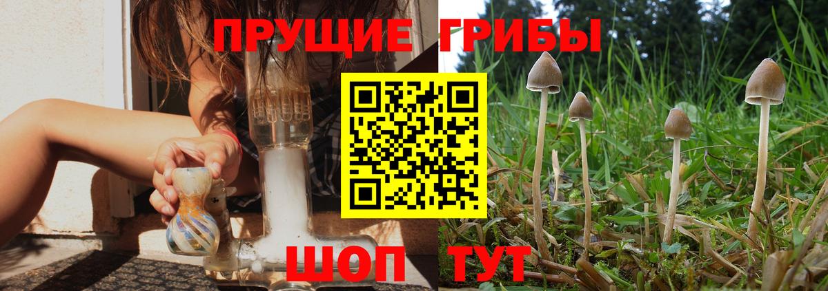 Псилоцибиновые грибы прущие грибы Улан-Удэ