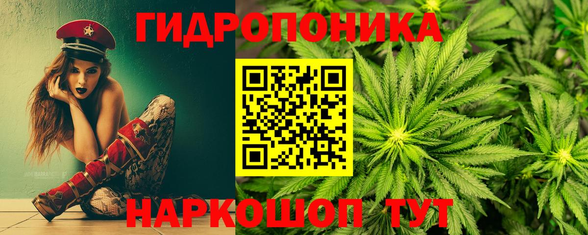 Марихуана семена Улан-Удэ